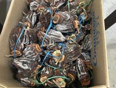 Сушенная хурма(бычье сердце)