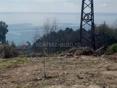 УЧАСТОК С ВИДОМ НА МОРЕ ГАГРА 