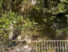 УЧАСТОК С ВИДОМ НА МОРЕ ГАГРА 