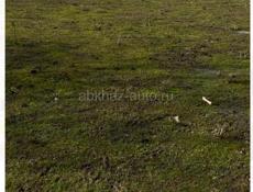 Продаю участок рядом с морем ( от море 500 шагов )  