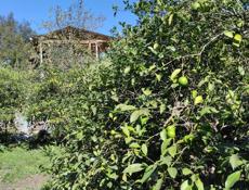 Продам дом(с земельным участком от 6 соток )