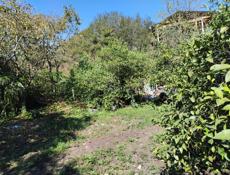 Продам дом(с земельным участком от 6 соток )