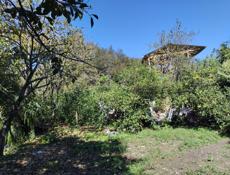 Продам дом(с земельным участком от 6 соток )