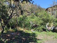 Продам дом(с земельным участком от 6 соток )