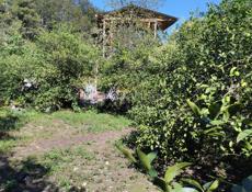 Продам дом(с земельным участком от 6 соток )