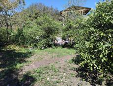 Продам дом(с земельным участком от 6 соток )