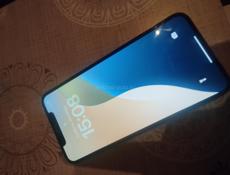 XS MAX 256 GB