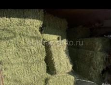 Сено люцерна 