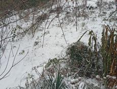 Алахадзе ул Морская дом4 кв2