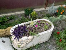 Цветочные вазоны