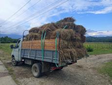 грузоперевозки по Абхазии 