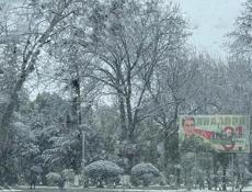 Парень 21 год