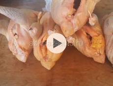 Продаются куры петухи чищеные и живые домашние 