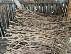 Принимаю заказы Абыц 