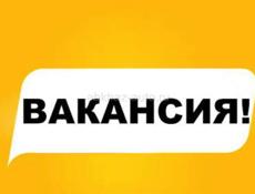 Управляющий /Администратор / Менеджер 