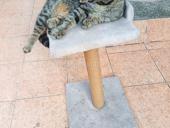 Полочка для кошки 