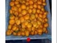 Продаются мандарины на сок