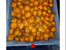 Продаются мандарины на сок