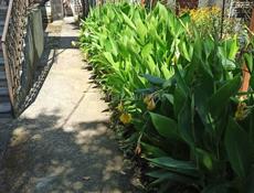 Часть дома в центре Сухума