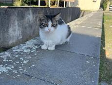 Ищу работу на Мойку посуды