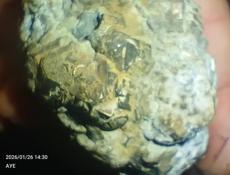 Какие то камни  вроде Пирит 