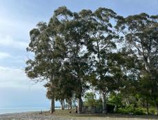 1 гектар рассрочка 