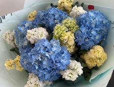 Сдам дом в с Дранда центр 