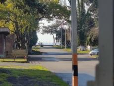 В центре города