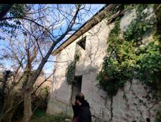 Нижняя Эшера