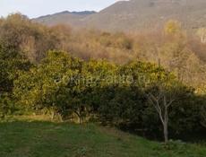 Продётся по срочности !