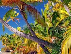 Ищу работу на белую мойку. Ватсап