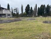 Участок 6 соток