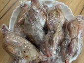 Продажа перепелки 