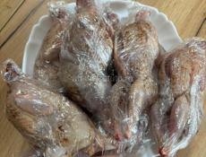 Продажа перепелки 