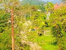 Продается срочно 2 х эт дом в центре города 