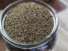 Порох  Сокл зернавои  900 грам банка полная 13 тр 