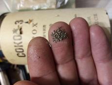 Порох  Сокл зернавои  900 грам банка полная 13 тр 