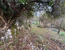 Земельный участок (ИЖС)