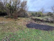 Земельный участок (ИЖС)