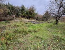 Земельный участок (ИЖС)