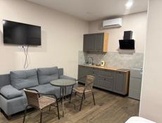 Сдам студию до мая 