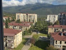 Приватизированная 