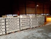 Блоки , полублоки г. Очамчира 965-33-02