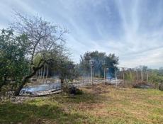 Очамчирский район село аракич от центра аракича 300 метров 