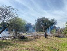 Очамчирский район село аракич от центра аракича 300 метров 