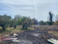 Очамчирский район село аракич от центра аракича 300 метров 