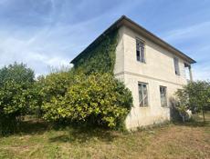 Очамчирский район село аракич от центра аракича 300 метров 