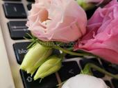 Работа Сухум 9-16