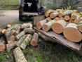 Дрова на заказ ✅