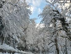 Ищу работу срочно рассмотрю варианты